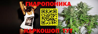 спайс Гусев